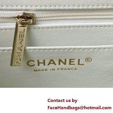 Chanel Quilted Shiny Calfskin  &  Gold-Tone Metal Small box Bag AS4470 White 2023